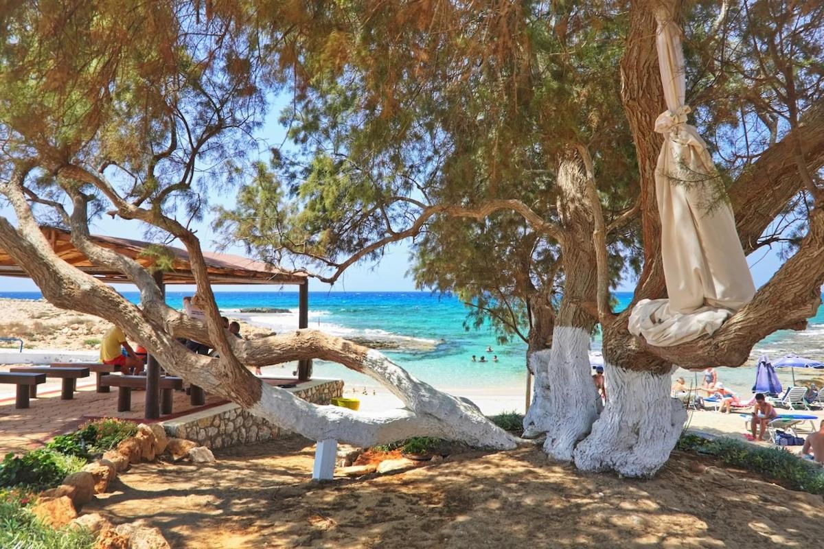 Beachfront Luxury Villa Idania Ayia Napa Bagian luar foto